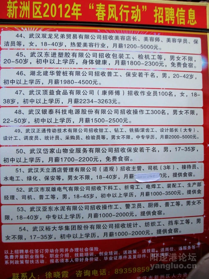 衡阳白沙洲最新招聘动态及其社会影响分析