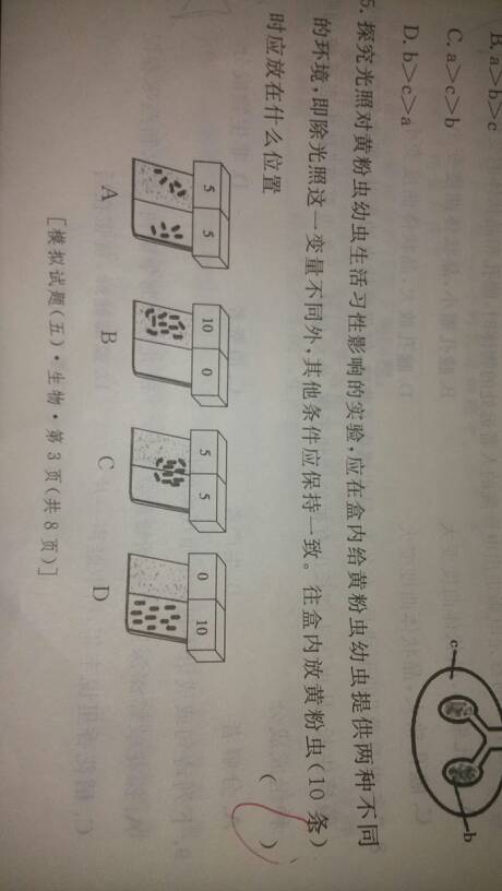 今晚澳门9点35分开什么｜准确资料解释落实