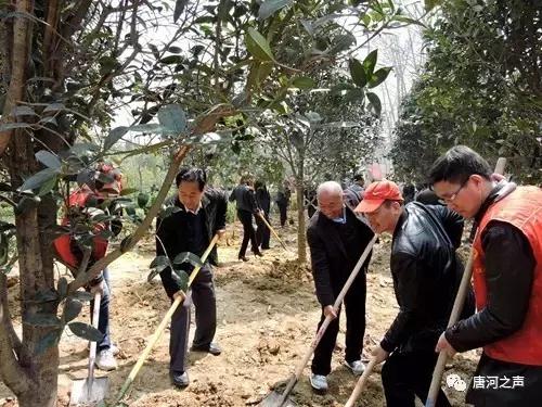 唐河复航项目最新消息